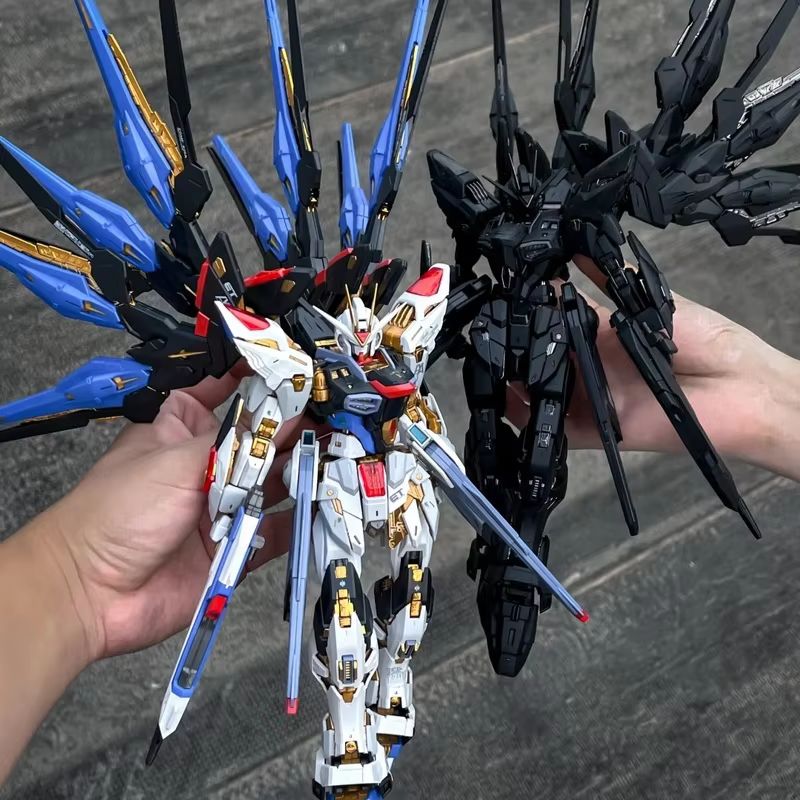 نموذج CHANGLONG 7701 MGEX ZGMF - مراجعة Gundam Model Mg وسعره